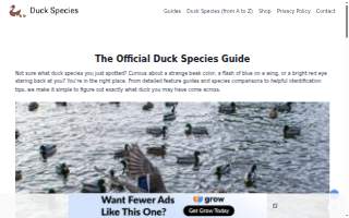 Duck's Body Shop