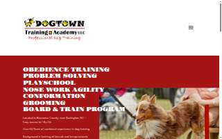 Dog Town Training Academy LLC of Mebane