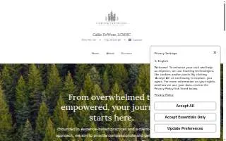 Fairview Counseling website