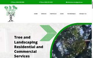 De La Vida Tree & Landscaping Services LLC