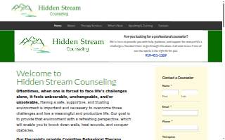 Hidden Stream Counseling