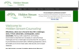 Hidden Stream Counseling website