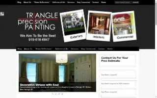 Triangle Precision Painting website