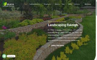 Zelaya Maintenance and Design