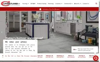 Carpetland USA of Dothan website