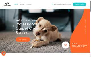 ACM.Carpet Cleaning of Mooresville