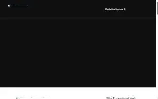 Wise Raven Consulting website