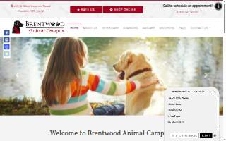 Brentwood Home Care Agency