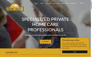 Home Again Home Care