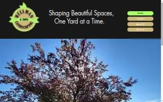 Hellman & Sons Landscaping website