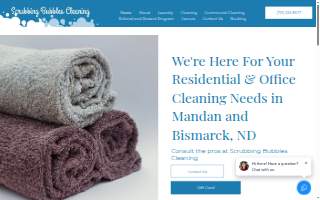 Scrubbing Bubbles Cleaning