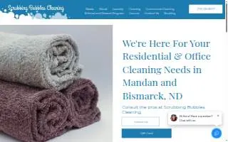 Scrubbing Bubbles Cleaning website