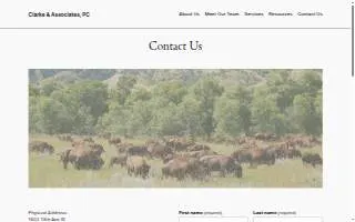 Clarke & Associates, PC website