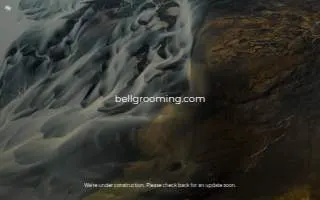 Bellevue Grooming Co. website