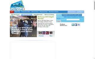 Bellevue Real Estate Inc