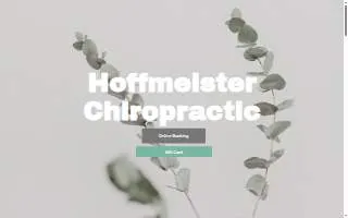 Hoffmeister Chiropractic, LLC website