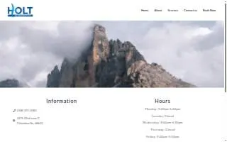 Holt Chiropractic LLC website