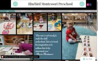 Bluebird Montessori Preschool and Daycare website