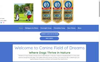 Canine Field of Dreams
