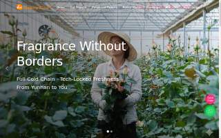 DWF Omaha Wholesale Florist