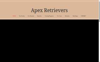 Apex Retrievers