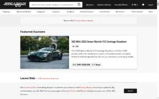 Bring & Associates website