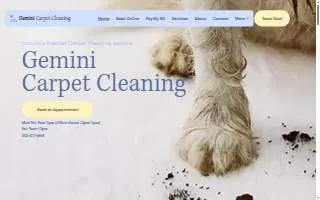 Gemini Carpet Cleaning website
