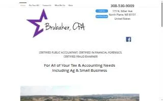 Brubaker CPA website