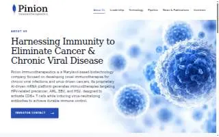 Pinion website