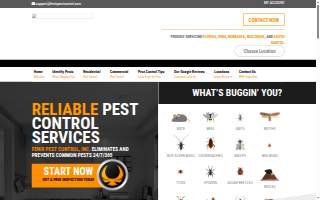 All Star Pest Control