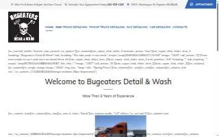 Bugeaters Detail, Wash & Polishing website