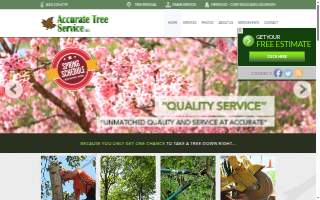 Accurate Tree Service