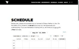 Heavy Mettle Jiu Jitsu website
