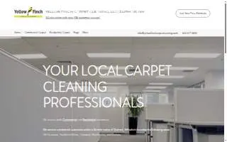 Yellow Finch Carpet Cleaning LLC of Hampton website