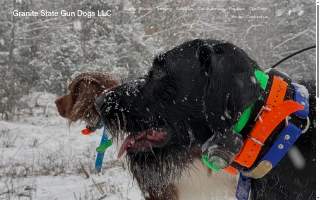 Granite State Gun Dogs LLC