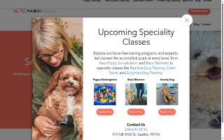 Paws 4 Training