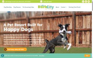 Bark City Doggy Daycare