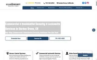 Silva's Auto website