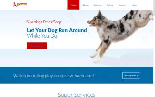 Superdogs Daycare