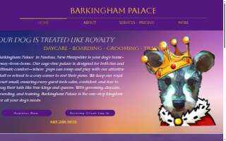 Barkingham Palace Doggie Daycare , Boarding , Grooming and Training
