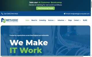 Netlogic Computer Consulting, LLC