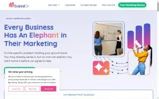 ScaledOn website