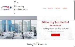 Truly, Truly Clean, LLC website