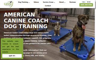 American Canine Coach of Atlantic City