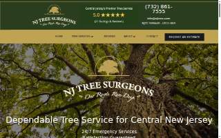 NJ Tree Surgeons of Bayonne