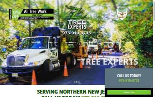 Z Tree Experts of Belleville