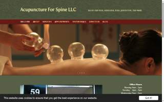 Acupuncture For Spine LLC