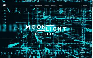 Moonlight Business Intelligence Corp.