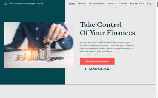 Professional Accounting For You LLC