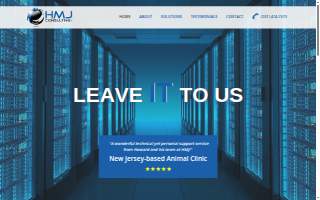 HMJ CONSULTING, LLC